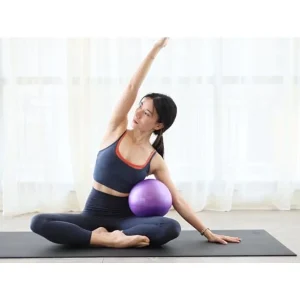 Mini Exercise Barre Ball - Thumbnail Image 6